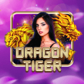Dragon Tiger live on bingo plus apk app